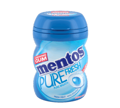 MENTOS FRESH MINT 18,5G
