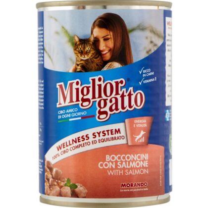 Miglior Gatto Bocconcini Con Salmone 405g